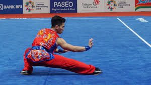 Larangan-Larangan Dalam Olahraga Wushu Larangan-Larangan Dalam Olahraga Wushu